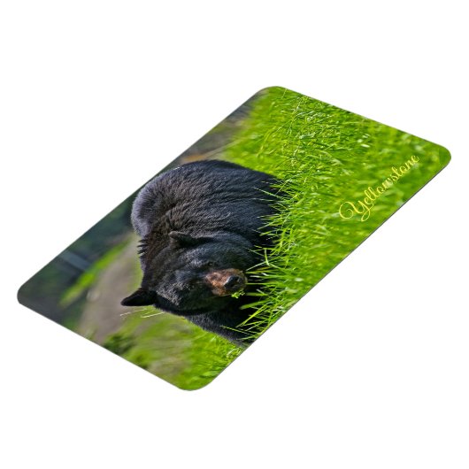 Geelsteen Magnet-Black Beer Magneet (Linkerzijde)