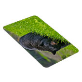 Geelsteen Magnet-Black Beer Magneet (Rechterzijde)