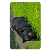 Geelsteen Magnet-Black Beer Magneet (Verticaal)