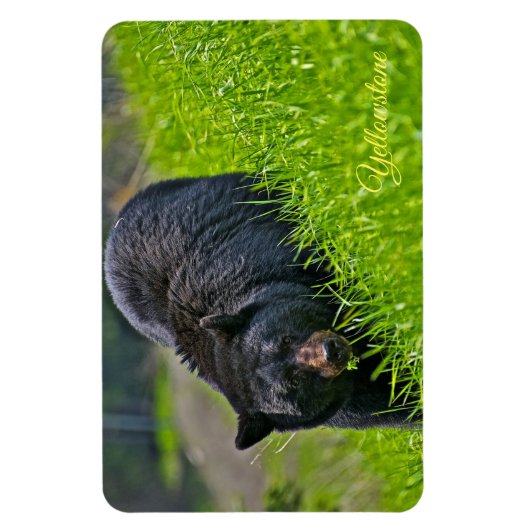 Geelsteen Magnet-Black Beer Magneet (Verticaal)