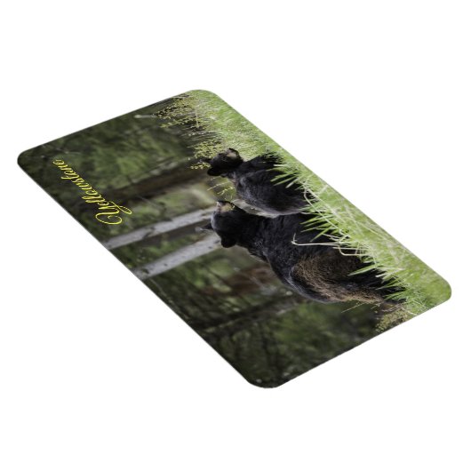 Geelsteen Magnet-Black Beer Magneet (Rechterzijde)