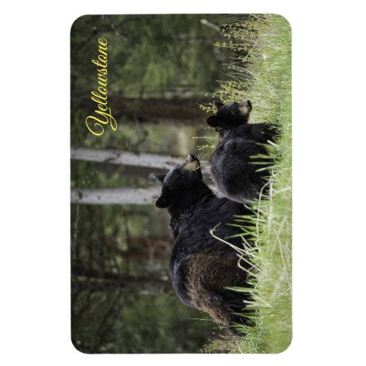 Geelsteen Magnet-Black Beer Magneet (Verticaal)