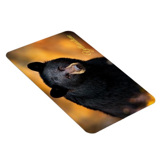 Geelsteen Magnet-Black Beer Magneet (Rechterzijde)