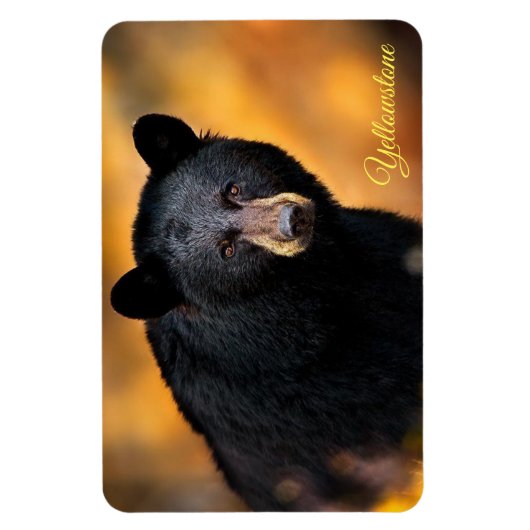 Geelsteen Magnet-Black Beer Magneet (Verticaal)