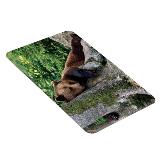 Geelsteen Magnet-Brown Beer Magneet (Rechterzijde)