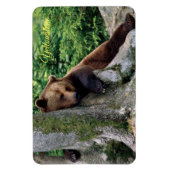 Geelsteen Magnet-Brown Beer Magneet (Verticaal)