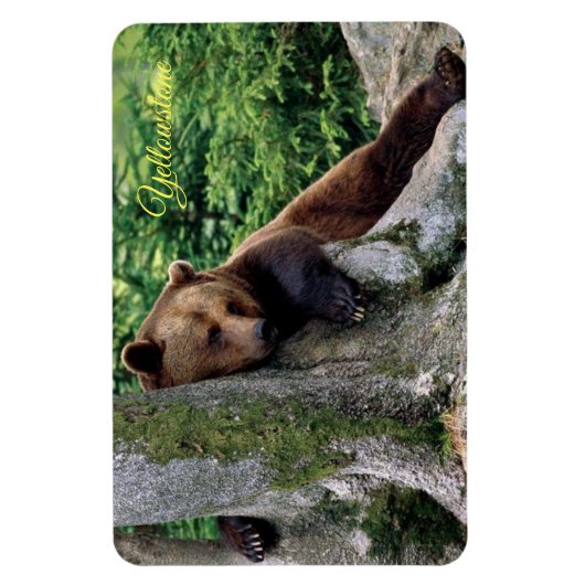 Geelsteen Magnet-Brown Beer Magneet (Verticaal)