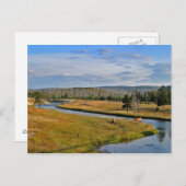 geelsteen nationaal park, elandes, briefkaart (Voorkant / Achterkant)