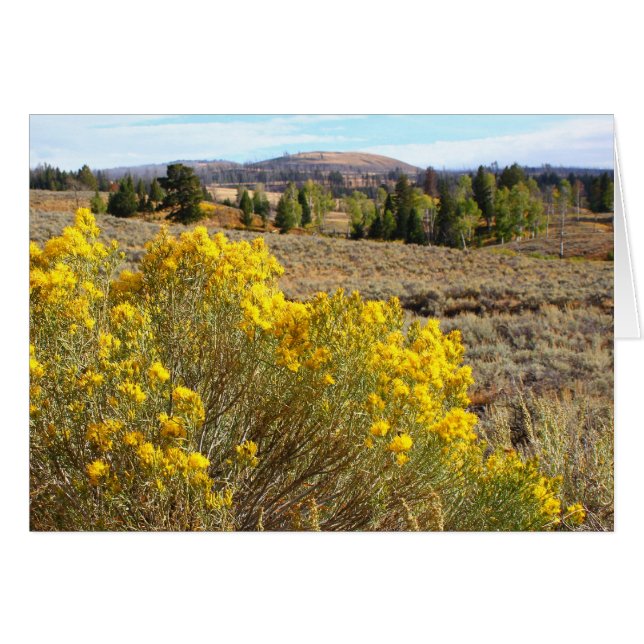 Geelsteen vista (Voorkant Horizontaal)