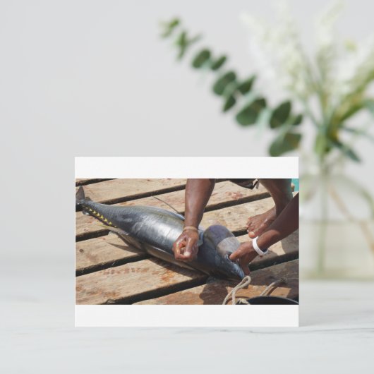 geelvintonijn briefkaart (Staand voorkant)