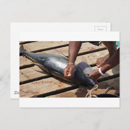 geelvintonijn briefkaart (Voorkant / Achterkant)