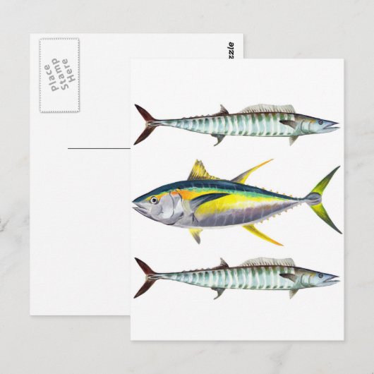 Geelvintonijn en wahoo vispatroon briefkaart (Voorkant / Achterkant)
