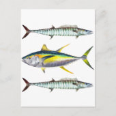 Geelvintonijn en wahoo vispatroon briefkaart (Voorkant)