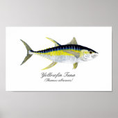 Geelvintonijn Poster (Voorkant)