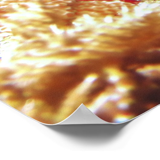 Geelvis Poster (Hoek)