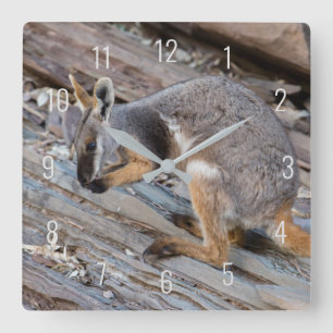 Geelvoetkangoeroe Australië Vierkante Klok