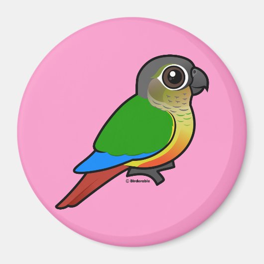 Geelzijdig bevaarbare conure magneet (Voorkant)
