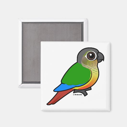 Geelzijdig bevaarbare conure magneet (Voorkant / Achterkant)