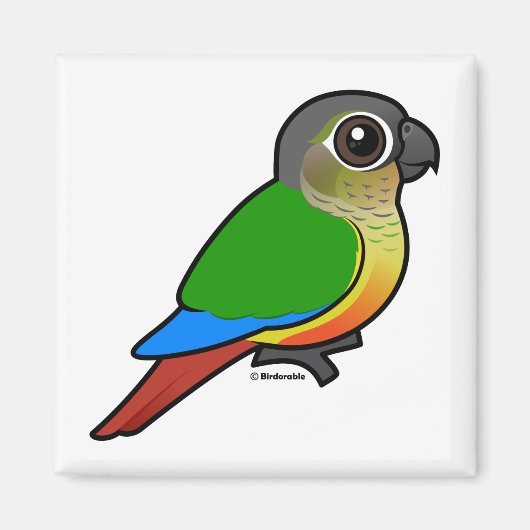 Geelzijdig bevaarbare conure magneet (Voorkant)