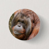 Geelzuchtige mannetjesorangutaan ronde button 3,2 cm (Voorkant)