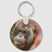 Geelzuchtige mannetjesorangutaan sleutelhanger (Voorkant)