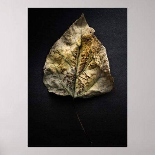 Geen 1 kleurversie poster (Voorkant)