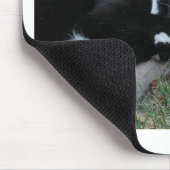 Geen Angst Kitty Epische Motivatie Slogan Foto Muismat (Hoek)