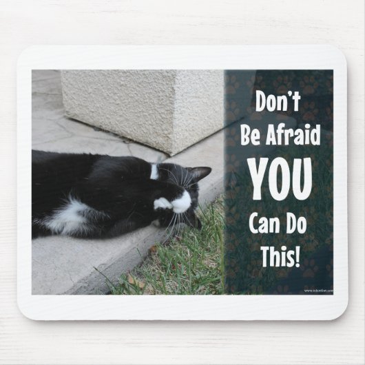 Geen Angst Kitty Epische Motivatie Slogan Foto Muismat (Voorkant)