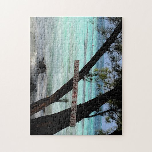 Geen Beach Chairs in het water. Grand Cayman Legpuzzel (Verticaal)