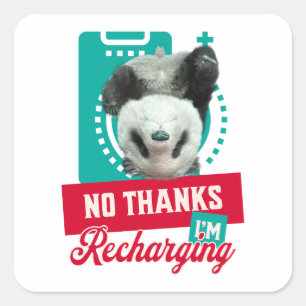 Geen Bedankt, ik ben het opladen van Panda Beer Cu Vierkante Sticker