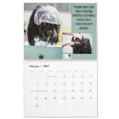 Geen Beer honden zijn ook mensen! Kalender (Feb 2027)