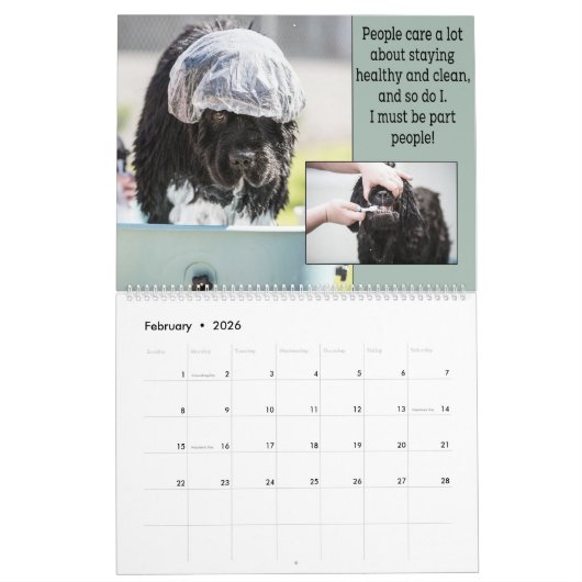 Geen Beer honden zijn ook mensen! Kalender (Feb 2026)