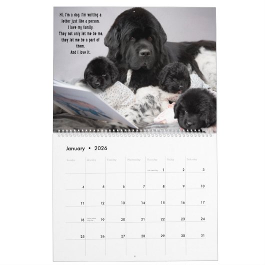 Geen Beer honden zijn ook mensen! Kalender (Jan 2026)
