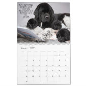 Geen Beer honden zijn ook mensen! Kalender (Jan 2027)