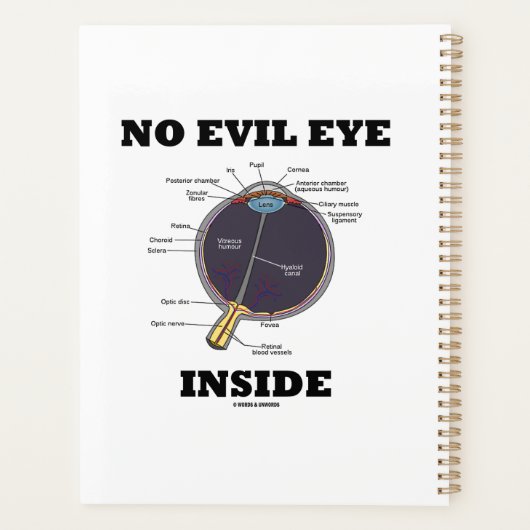 Geen boze ogen in anatomische eyeball Humor Planner (Achterkant)