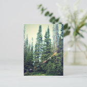 Geen Bras toegestaan in het bos Briefkaart (Staand voorkant)