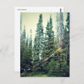 Geen Bras toegestaan in het bos Briefkaart (Voorkant / Achterkant)