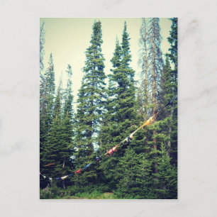 Geen Bras toegestaan in het bos Briefkaart