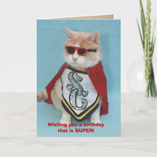 Geen Bull Birthday Kaart (Voorkant)