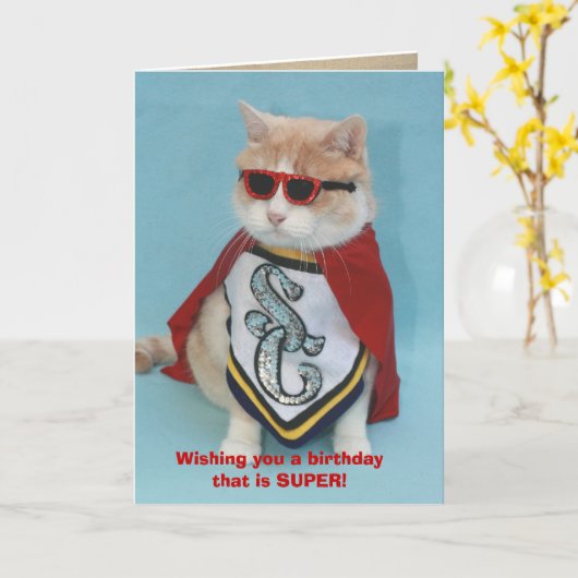 Geen Bull Birthday Kaart (Gele Bloem)