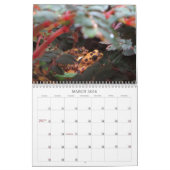 "Geen charismatische Megafauna meer!" - kalender (Mar 2026)