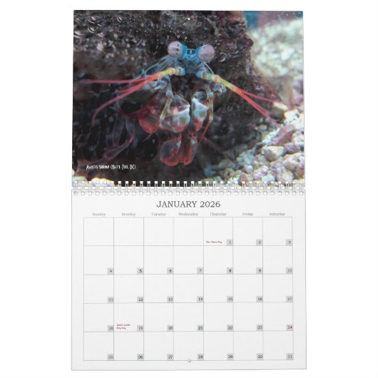 "Geen charismatische Megafauna meer!" - kalender (Jan 2026)