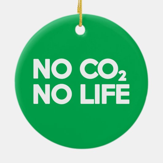 GEEN CO2 GEEN LEVEN KERAMISCH ORNAMENT (Achterkant)