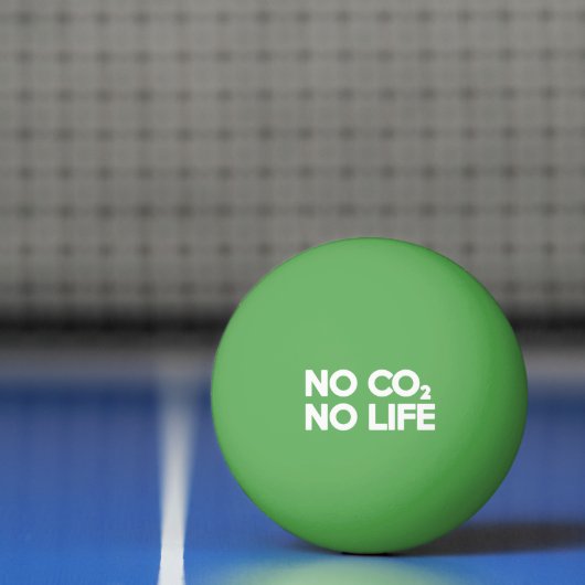 GEEN CO2 GEEN LEVEN PINGPONGBAL (Net)