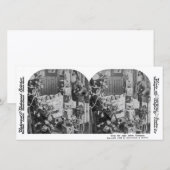 Geen creatie was roerend -  Stereoview (Voorkant / Achterkant)