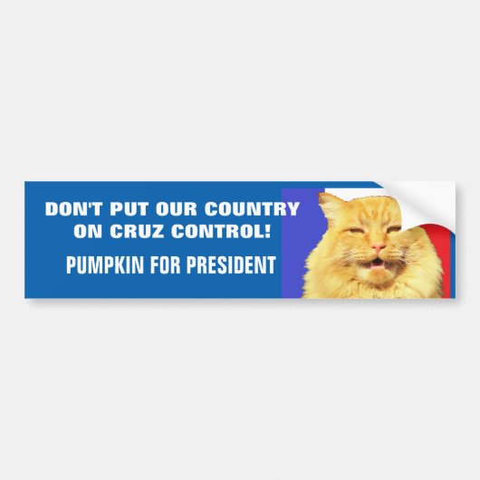 Geen Cruz Control - pompoen voor President 16 Bumpersticker (Voorkant)