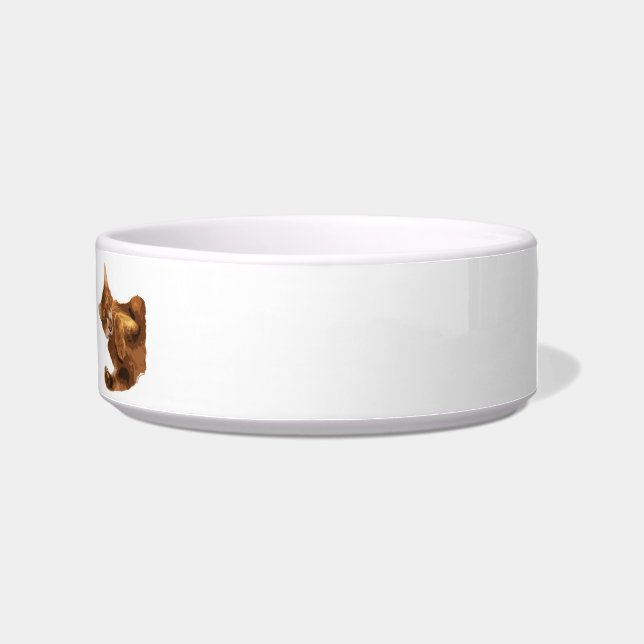 Geen declaw Kitty Cat Food Bowl Voerbakje (Rechts)