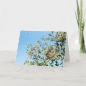 Geen dokter Kaart (Voorkant)