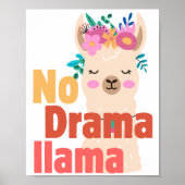 Geen drama lama poster (Voorkant)