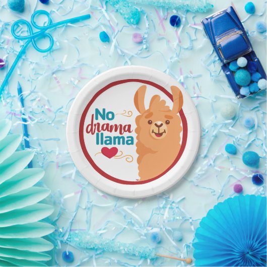 Geen drama lama (warm) papieren bordje (Feest)